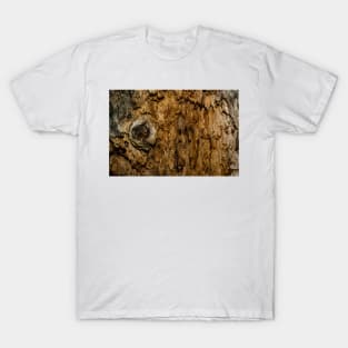 Rotten Wood T-Shirt